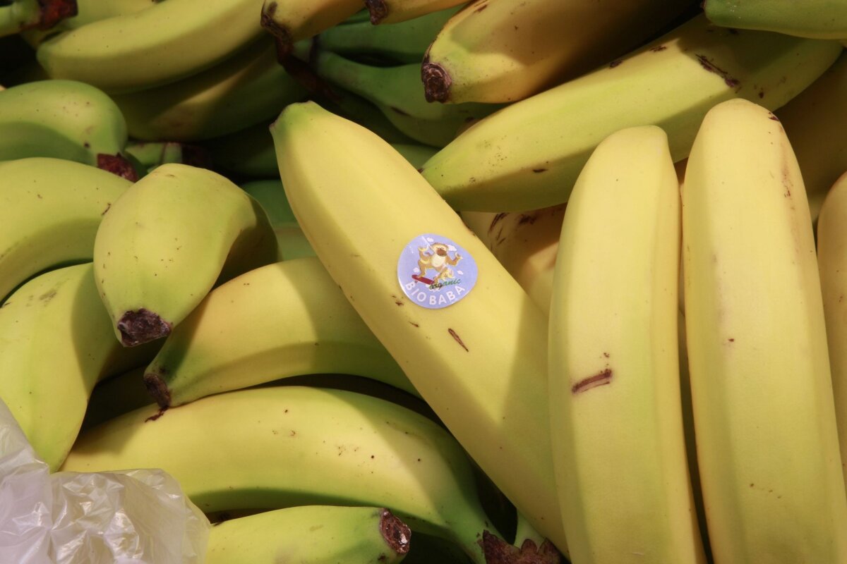 Kuidas suurendada liikme banaani Suurenda meditsiinilist vaatenurgast