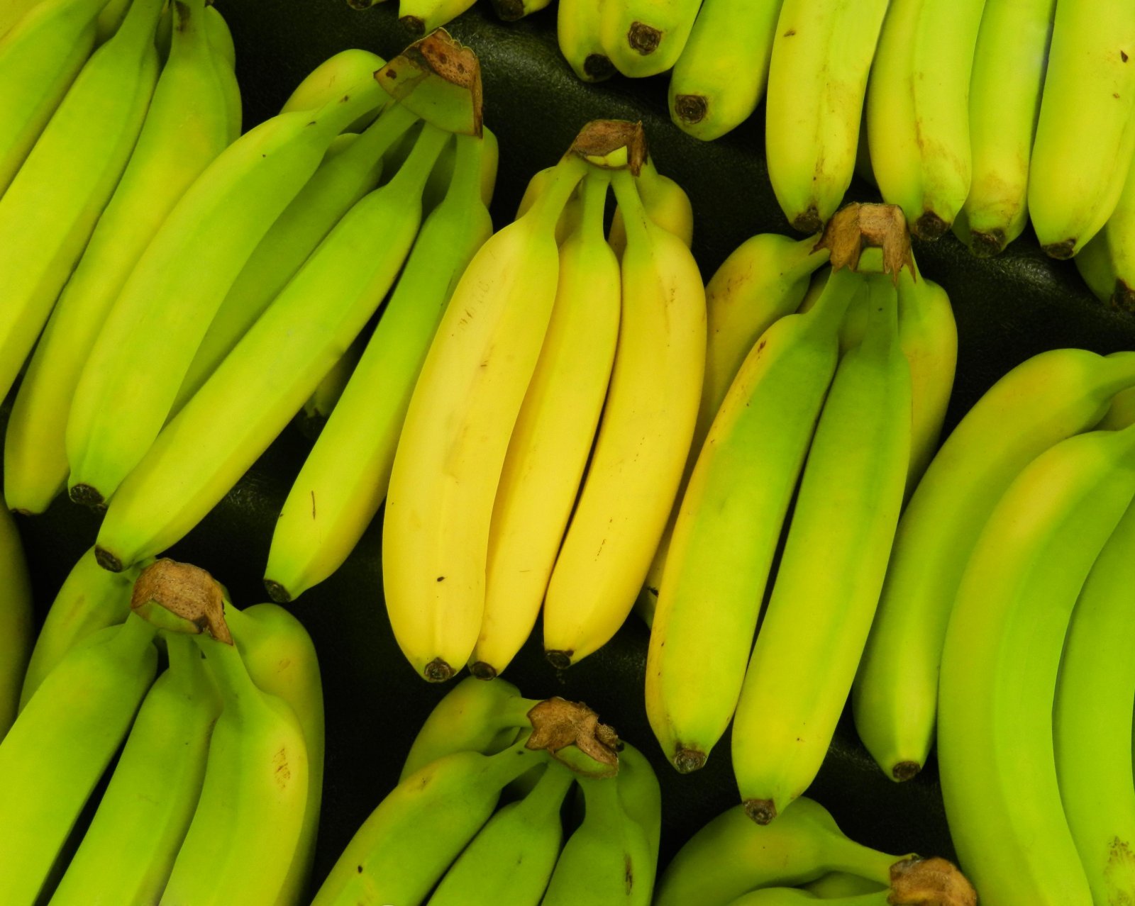 Kuidas suurendada liikme banaani Liikme suurenemine, kui palju